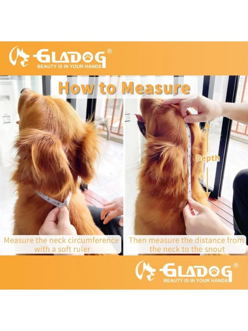 Soft Adjustable Dog Cone Collar - 2 PCS Recovery E-Collar for All Sizes, Comfy